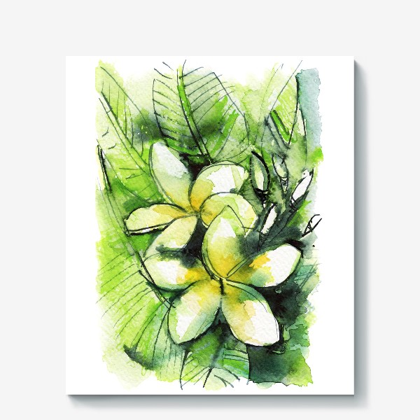Холст «желто-белая плюмерия, франджипани, экзотические цветы, акварельная живопись»