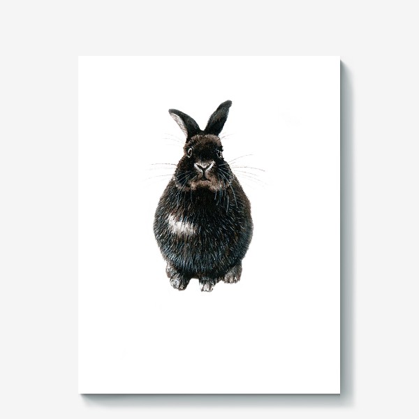 Холст «Черный кролик»