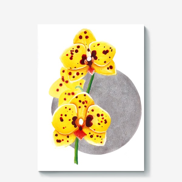 Холст «Желтая орхидея»