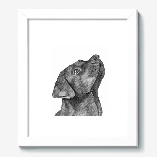 Картина «Собака», купить в интернет-магазине в Москве, автор: Olga  Petnyunene, цена: 4680 рублей, 8678.52485.419381.1087698