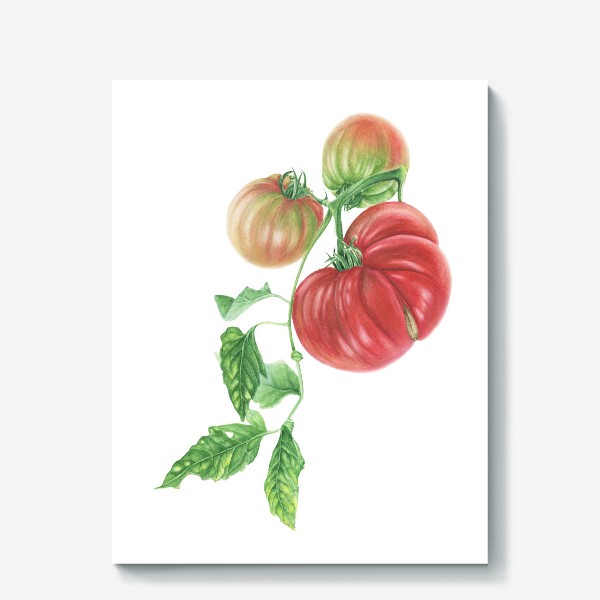 Холст «Гроздь спелых томатов»