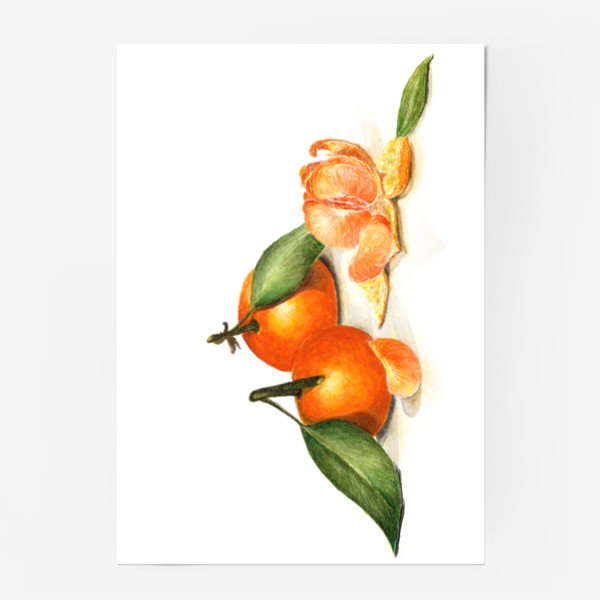 Постер «Сочные мандарины»