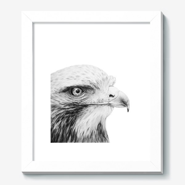 Картина «Орел - гордая и красивая птица!»