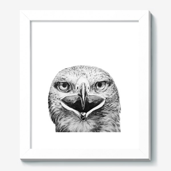 Картина «Принт " Хищная птица Орел"»