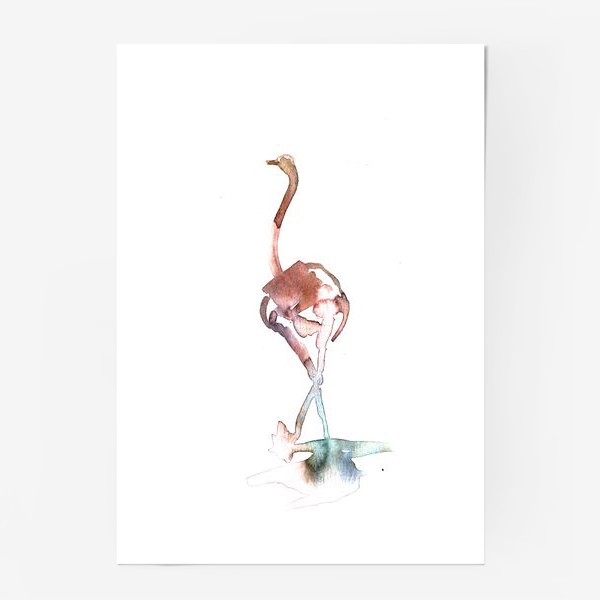 Постер «Страус. Акварельная серия животных.»