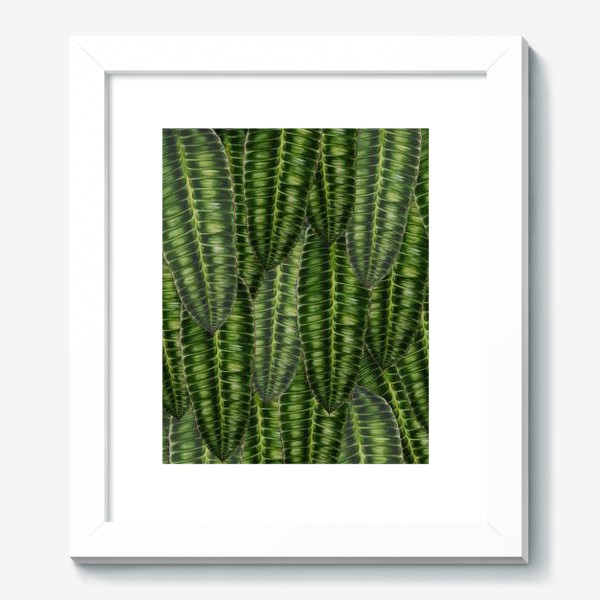Картина «Ботаника " Темно-зеленые листья"»