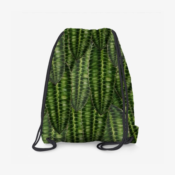 Рюкзак «Ботаника " Темно-зеленые листья"»