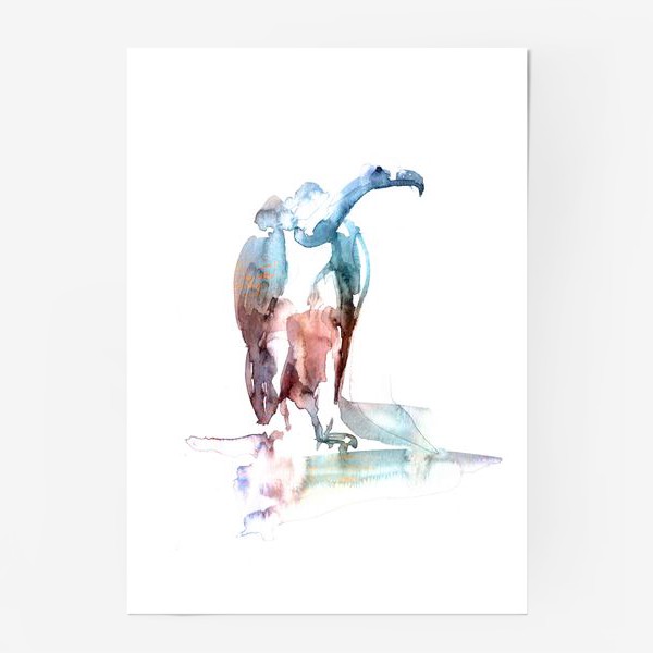Постер «Птица кондор. Акварельная серия животных»