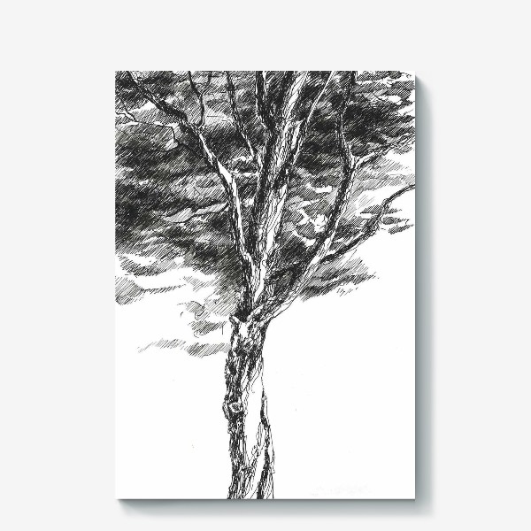 Холст &laquo;Красивое дерево на высоком холме&raquo;