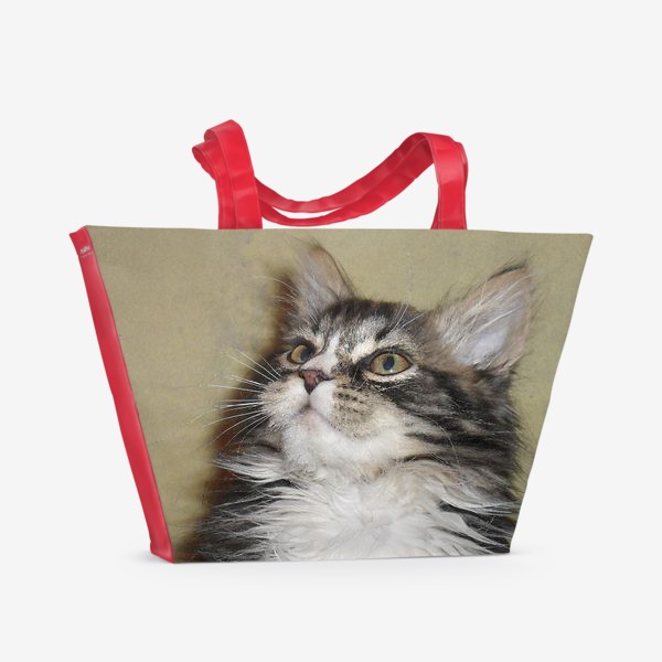 Пляжная сумка «пушистый котик»