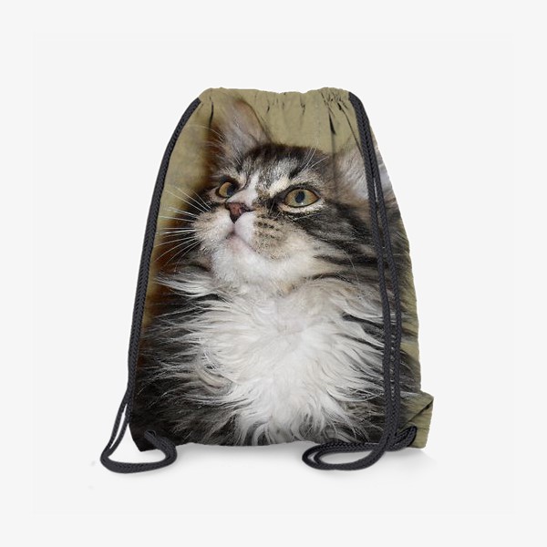 Рюкзак «пушистый котик»