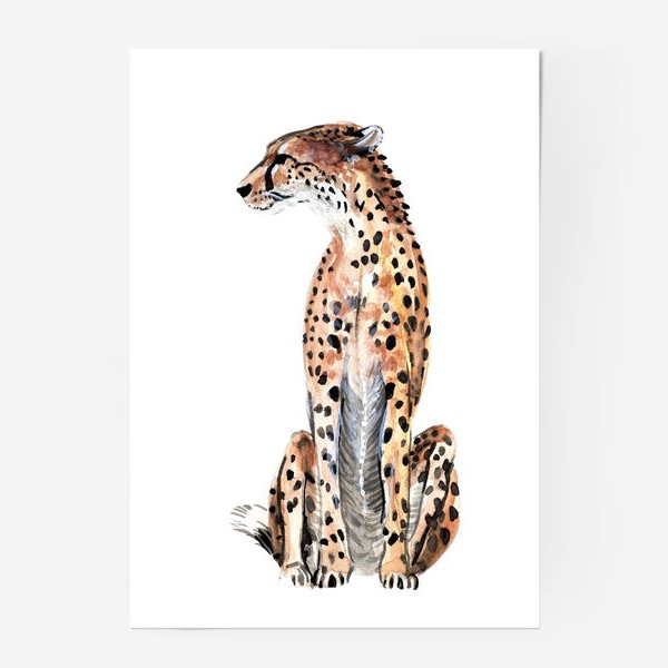 Постер «гепард»