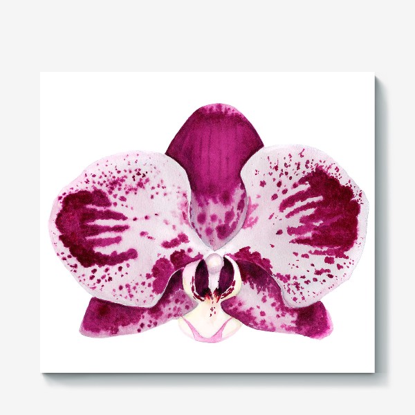 Холст &laquo;Орхидея фаленопсис&raquo;