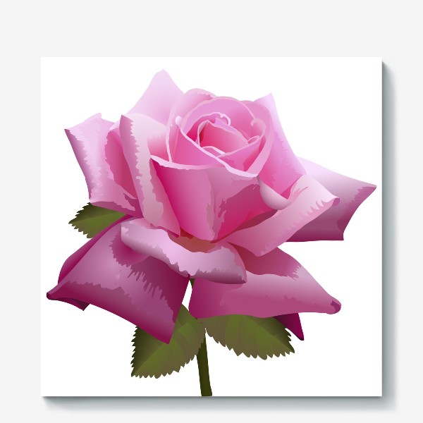Холст &laquo;Розовый цветок роза на белом фоне в векторной графике&raquo;