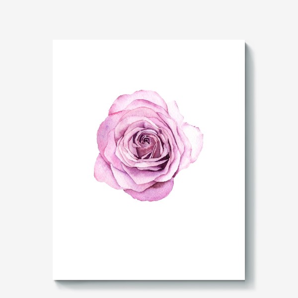 Холст «Розовая роза»