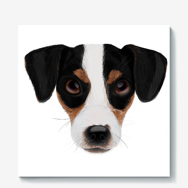 Холст «Портрет собаки. Джек рассел терьер», купить в интернет-магазине в  Москве, автор: Indie Khisamutdinova, цена: 3100 рублей,  12475.57698.459861.1194658