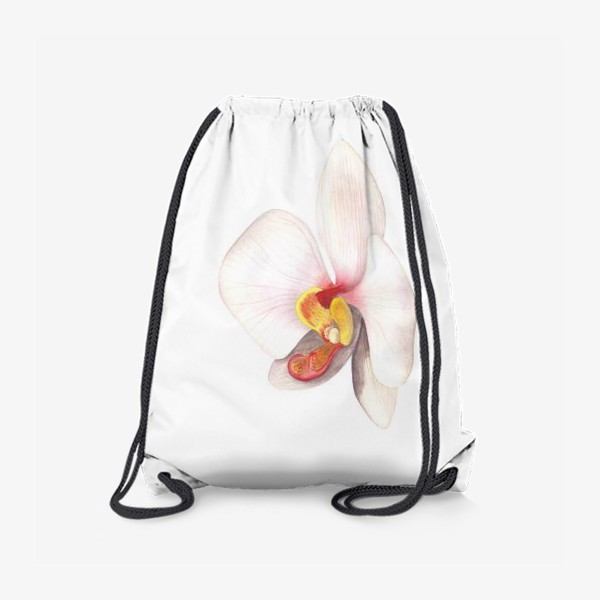 Рюкзак «Орхидея фаленопсис»