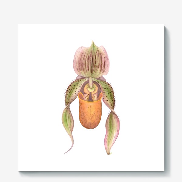 Холст «Орхидея »