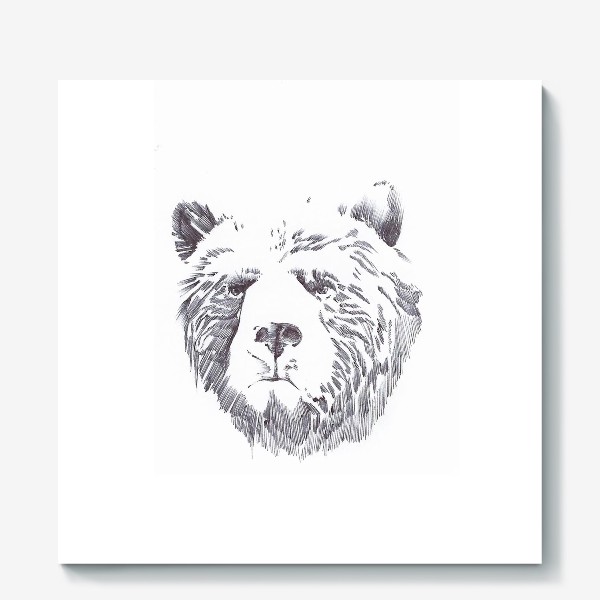 Холст «Медведь»
