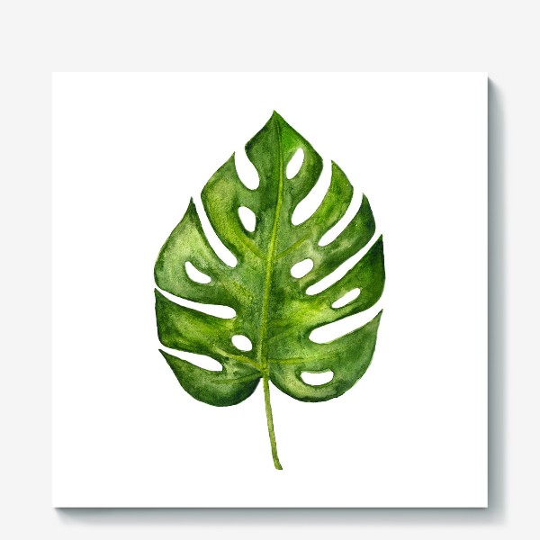 Холст «Monstera leaf»