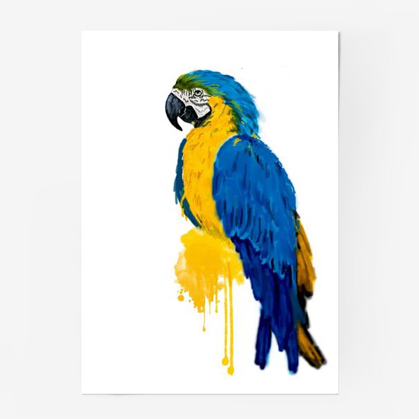 Постер «Попугай Ара»