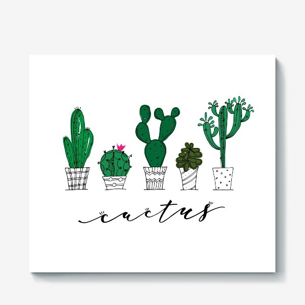 Холст «Cactus»