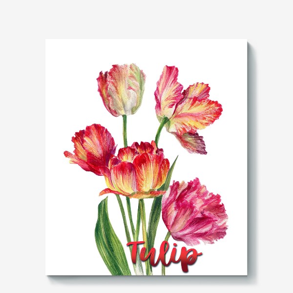 Холст «Tulips»