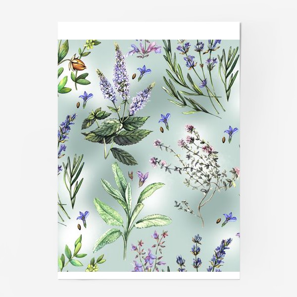 Постер «Душистые летние травы»