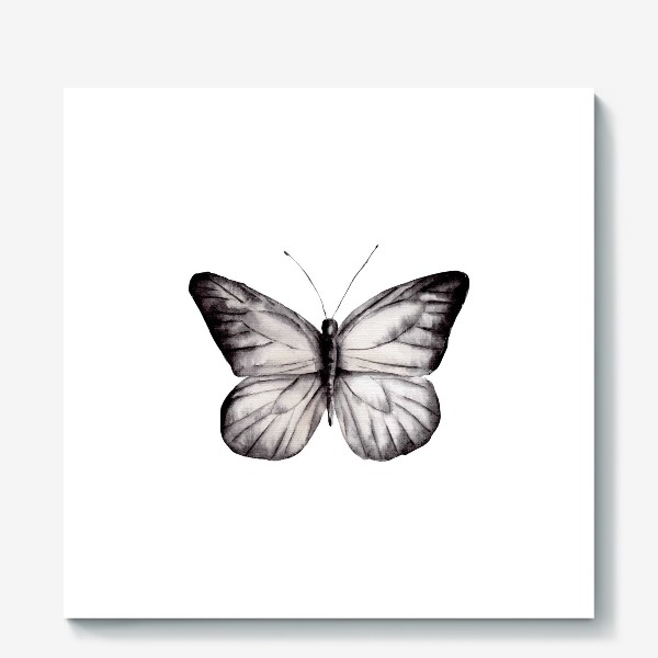 Холст «Черно-белая акварельная бабочка»