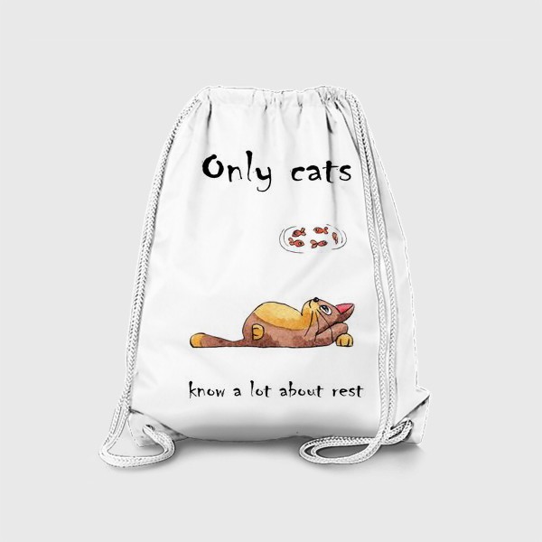 Рюкзак «Кот на отдыхе»