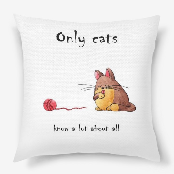 Подушка «Кот и философия жизни»