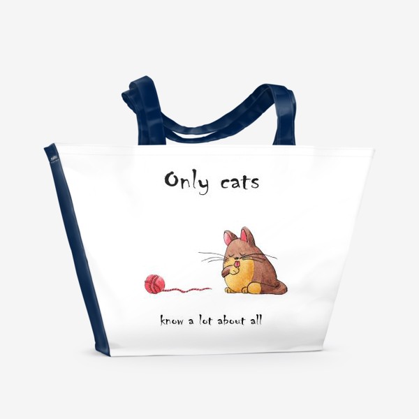 Пляжная сумка «Кот и философия жизни»