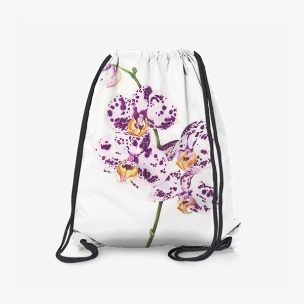 Рюкзак «Орхидея далматинец»