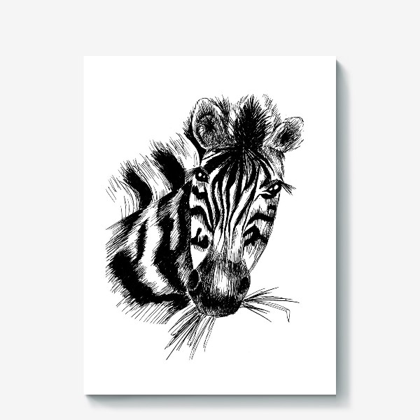 Холст «Дикая зебра»