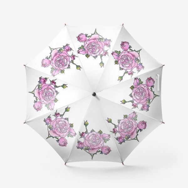 Зонт «Розовая английская роза Остина, ботанический скетч, акварель»