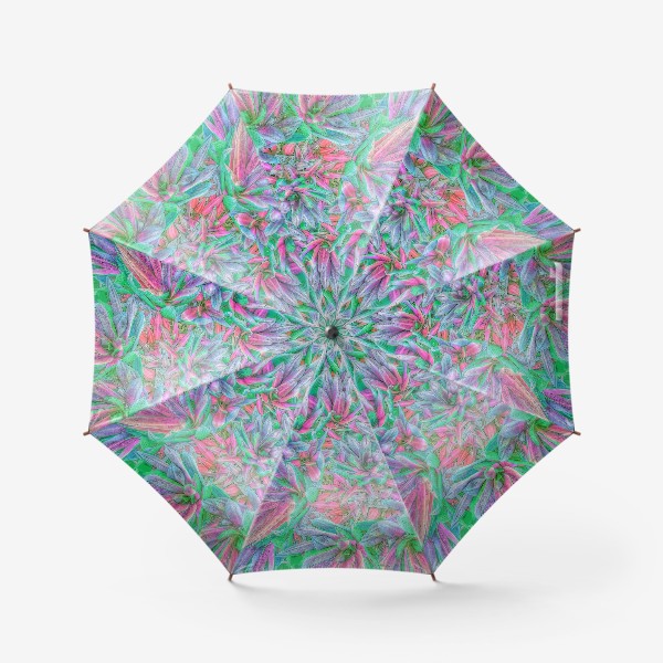 Зонт «Сочные растения»
