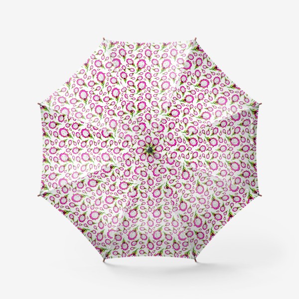 Зонт «Питахайя на белом фоне»
