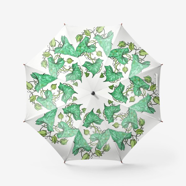 Зонт «Зелёный вьюнок»