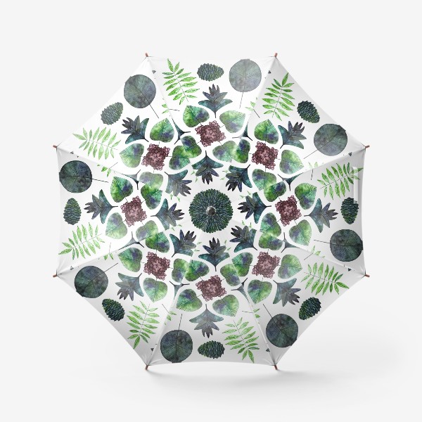 Зонт «Ботаника листья»