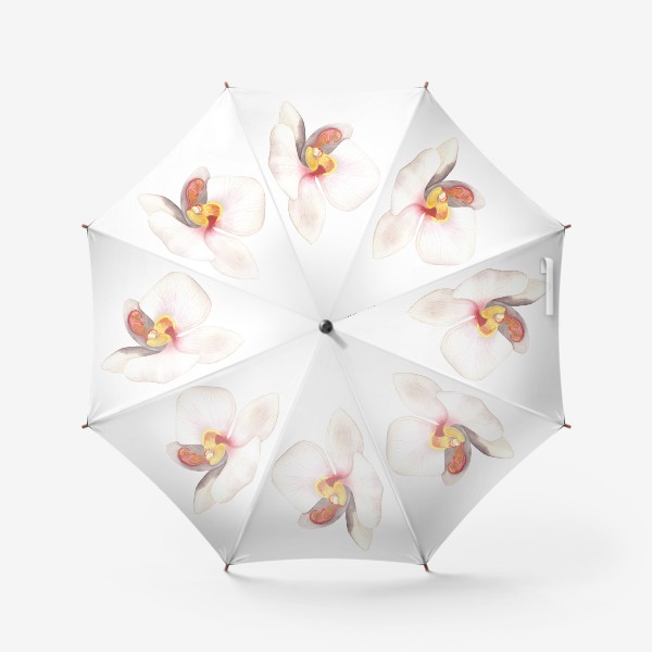 Зонт «Орхидея фаленопсис»