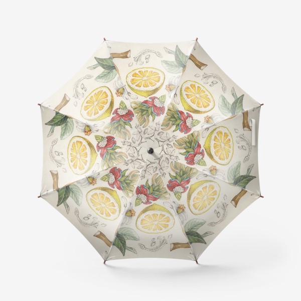 Зонт «ботаника»