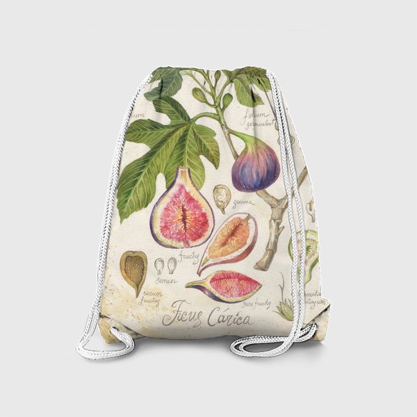 Рюкзак «ботаническая иллююстрация инжир»