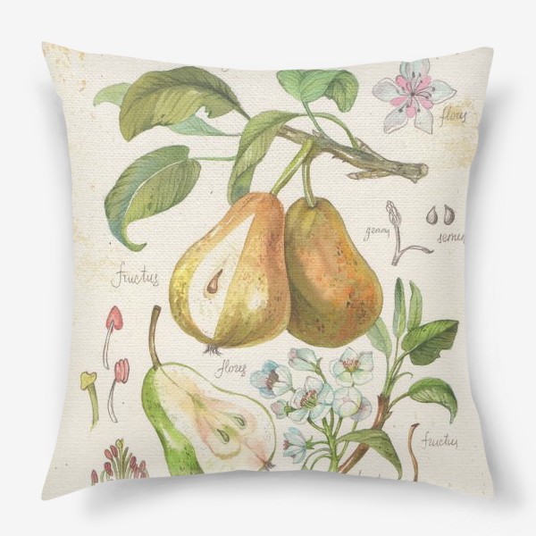 Подушка «ботаническая иллюстрация груша»