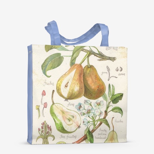 Сумка-шоппер «ботаническая иллюстрация груша»