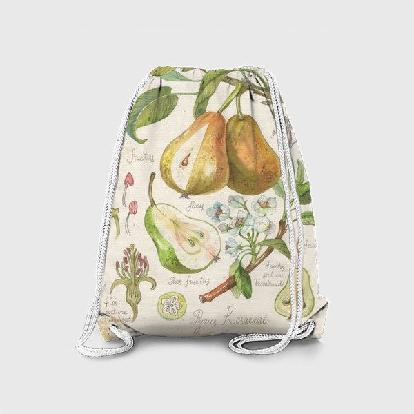 Рюкзак «ботаническая иллюстрация груша»