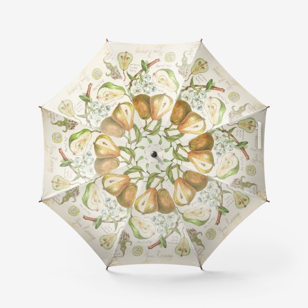Зонт «ботаническая иллюстрация груша»