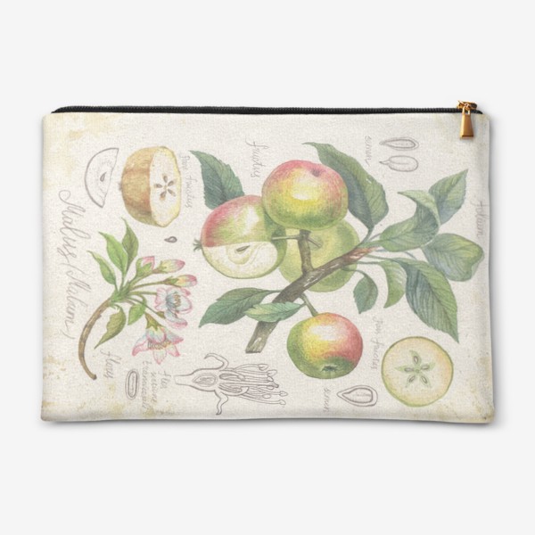 Косметичка «ботаническая иллюстрация яблоко»