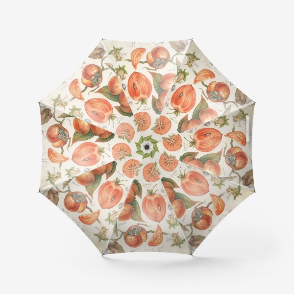 Зонт «ботаническая иллюстрация хурма»