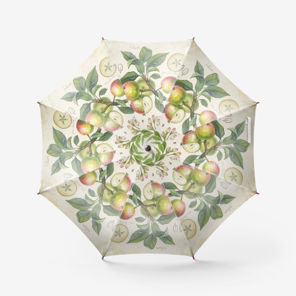 Зонт «ботаническая иллюстрация яблоко»