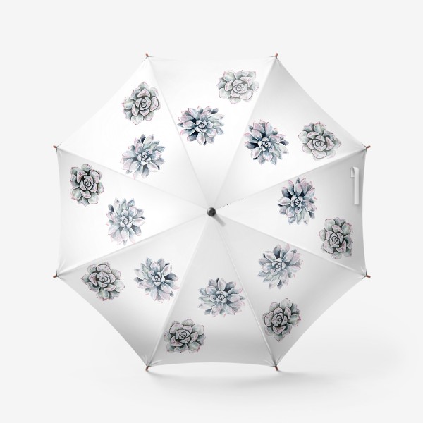 Зонт «Акварельные суккуленты»